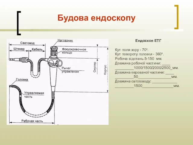 Будова ендоскопу Ендоскоп ЕТГ Кут поля зору - 70º. Кут повороту