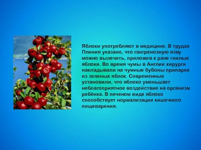 Яблоки употребляют в медицине. В трудах Плиния указано, что гангренозную язву