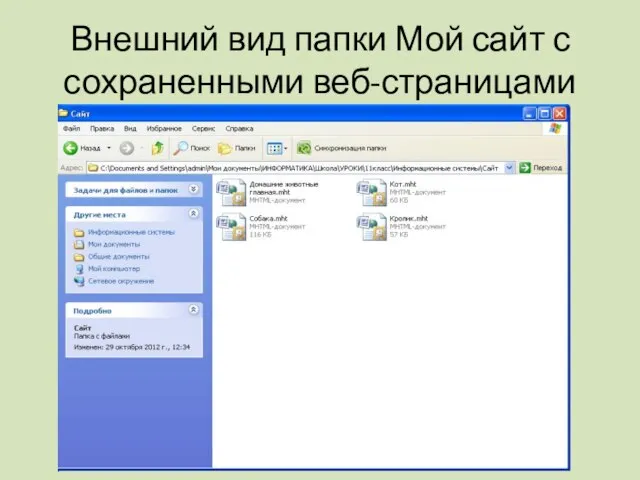 Внешний вид папки Мой сайт с сохраненными веб-страницами