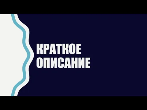 КРАТКОЕ ОПИСАНИЕ