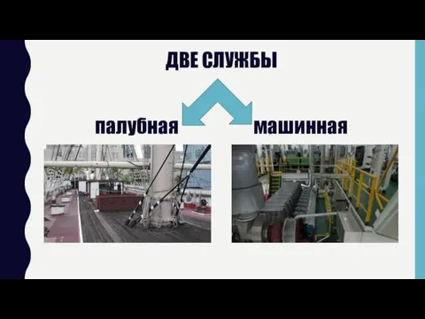 ДВЕ СЛУЖБЫ палубная машинная