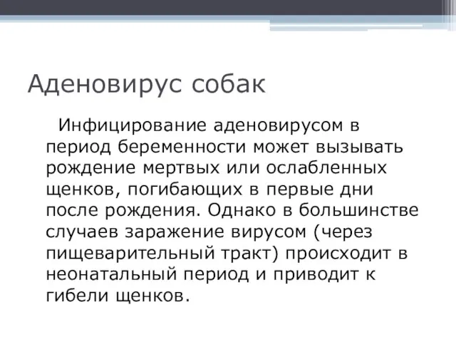 Аденовирус собак Инфицирование аденовирусом в период беременности может вызывать рождение мертвых