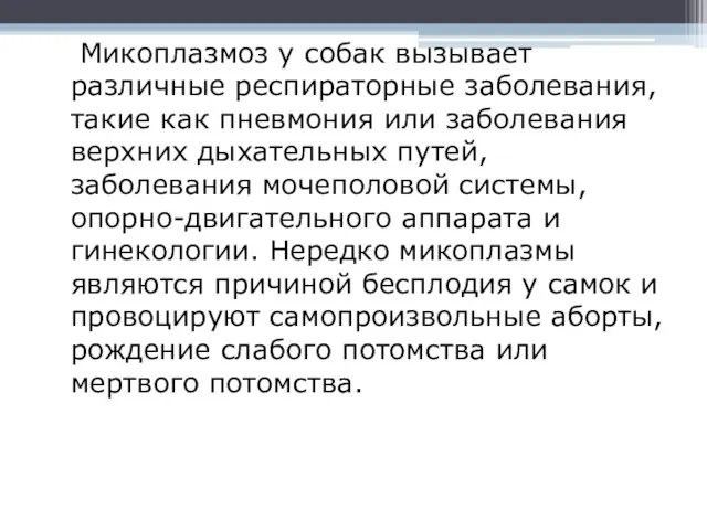 Микоплазмоз у собак вызывает различные респираторные заболевания, такие как пневмония или