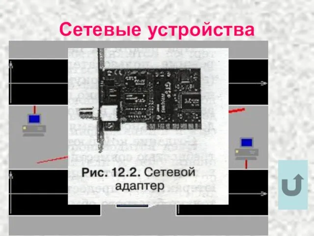 Сетевые устройства