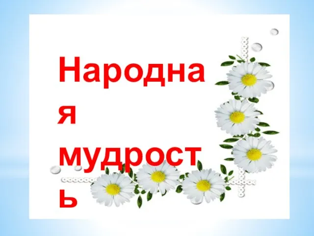 Народная мудрость