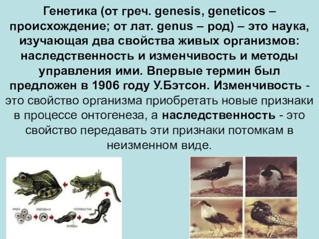 Генетика (от греч. genesis, geneticos – происхождение; от лат. genus –