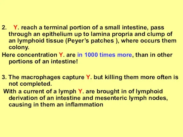 2. Y. reach a terminal portion of a small intestine, pass