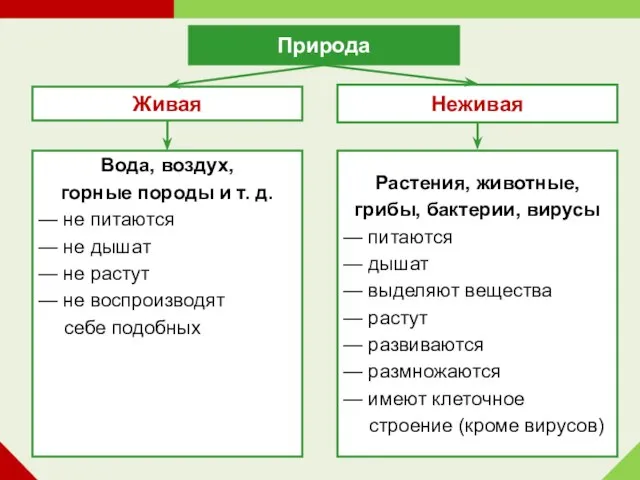 Неживая Живая Растения, животные, грибы, бактерии, вирусы — питаются — дышат