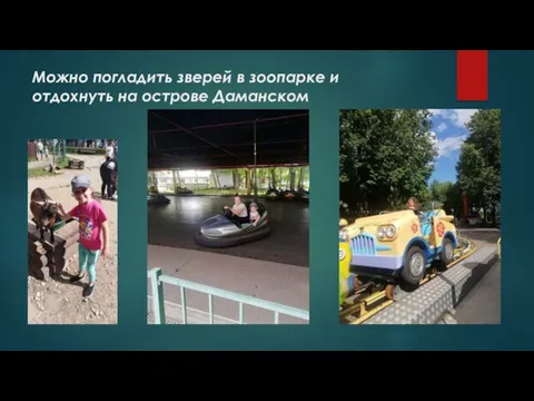 Можно погладить зверей в зоопарке и отдохнуть на острове Даманском