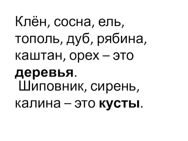 Клён, сосна, ель, тополь, дуб, рябина, каштан, орех – это деревья.