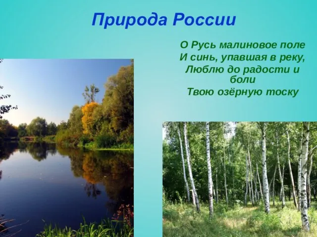 Природа России О Русь малиновое поле И синь, упавшая в реку,