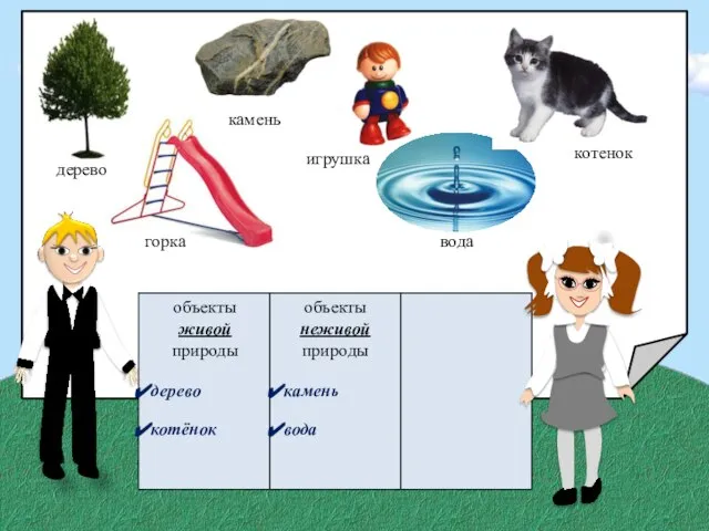 дерево горка камень игрушка котёнок вода объекты живой природы дерево котёнок объекты неживой природы камень вода