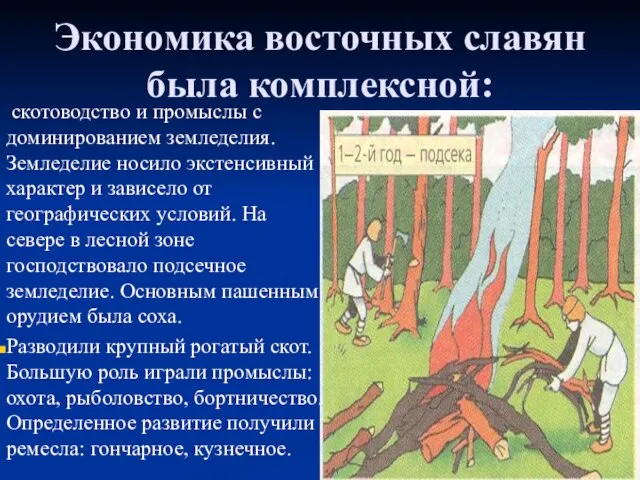 Экономика восточных славян была комплексной: скотоводство и промыслы с доминированием земледелия.