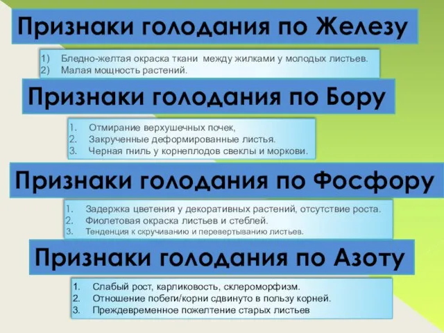 Бледно-желтая окраска ткани между жилками у молодых листьев. Малая мощность растений.