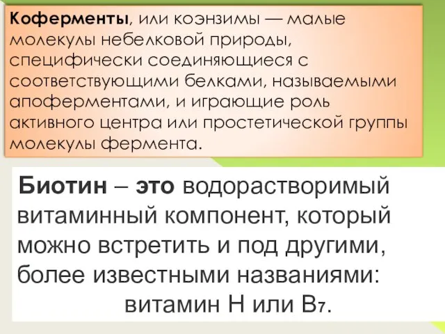 Биотин – это водорастворимый витаминный компонент, который можно встретить и под