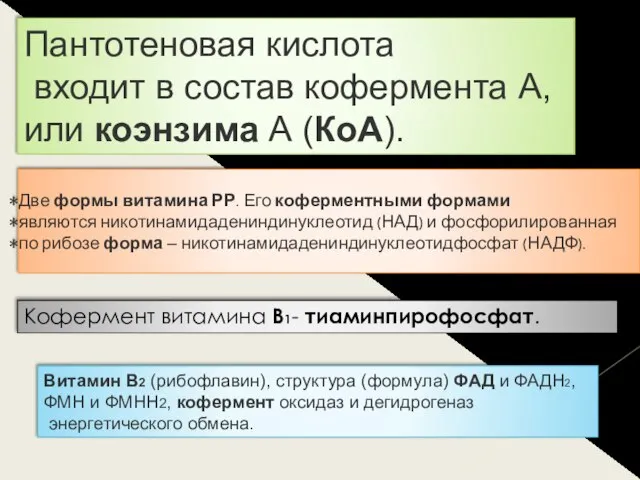 Пантотеновая кислота входит в состав кофермента А, или коэнзима А (КоА).