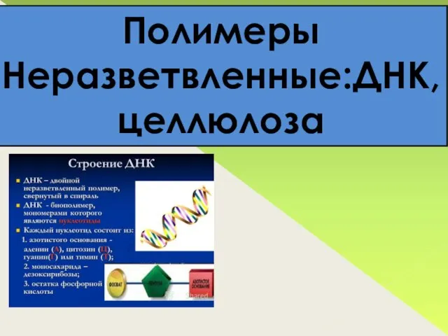 Полимеры Неразветвленные:ДНК, целлюлоза