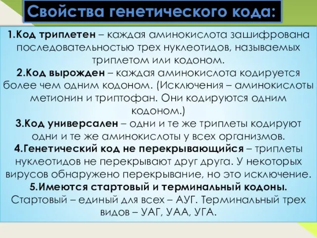 Свойства генетического кода: 1.Код триплетен – каждая аминокислота зашифрована последовательностью трех