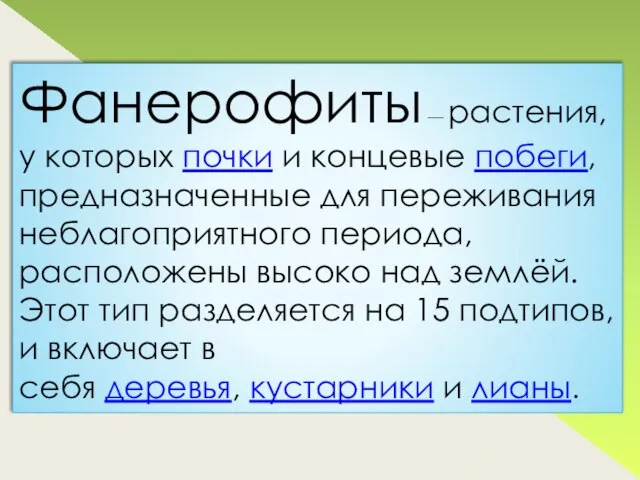 Фанерофиты — растения, у которых почки и концевые побеги, предназначенные для