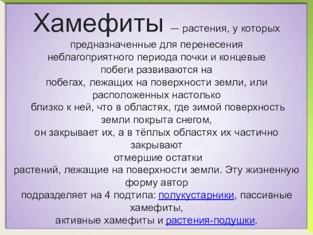 Хамефиты — растения, у которых предназначенные для перенесения неблагоприятного периода почки