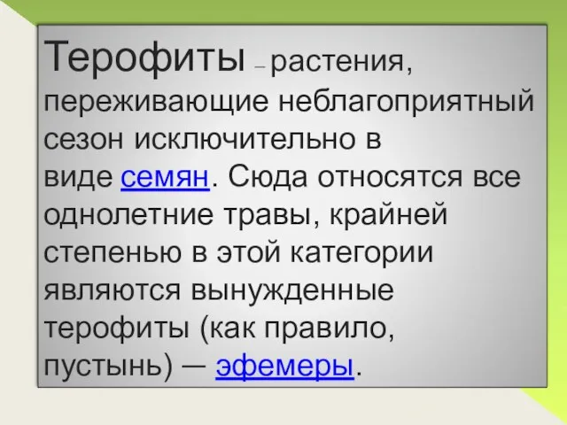 Терофиты — растения, переживающие неблагоприятный сезон исключительно в виде семян. Сюда