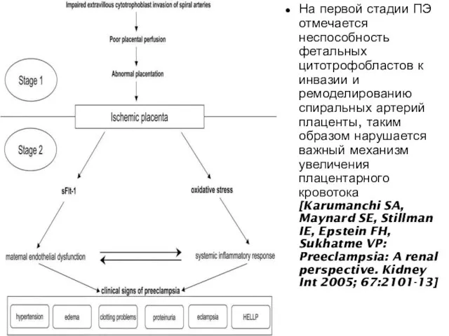 На первой стадии ПЭ отмечается неспособность фетальных цитотрофобластов к инвазии и