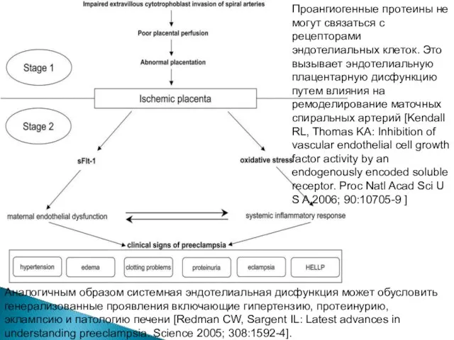 Из программы съезда Проангиогенные протеины не могут связаться с рецепторами эндотелиальных