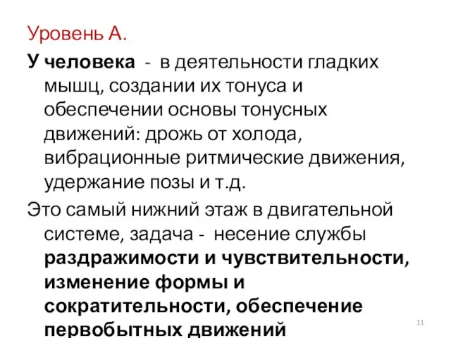 Уровень А. У человека - в деятельности гладких мышц, создании их