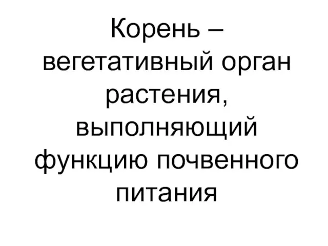 Корень – вегетативный орган растения, выполняющий функцию почвенного питания