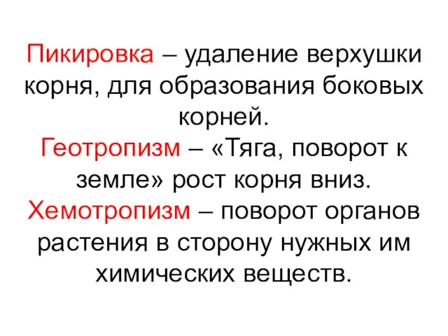 Пикировка – удаление верхушки корня, для образования боковых корней. Геотропизм –