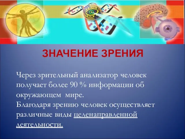 Через зрительный анализатор человек получает более 90 % информации об окружающем