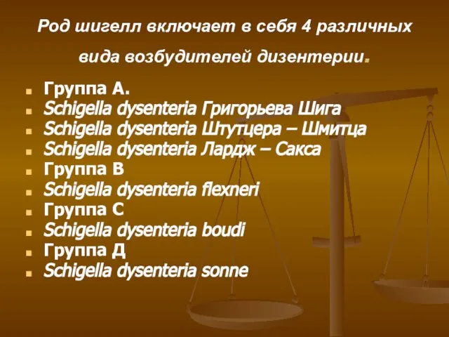 Род шигелл включает в себя 4 различных вида возбудителей дизентерии. Группа