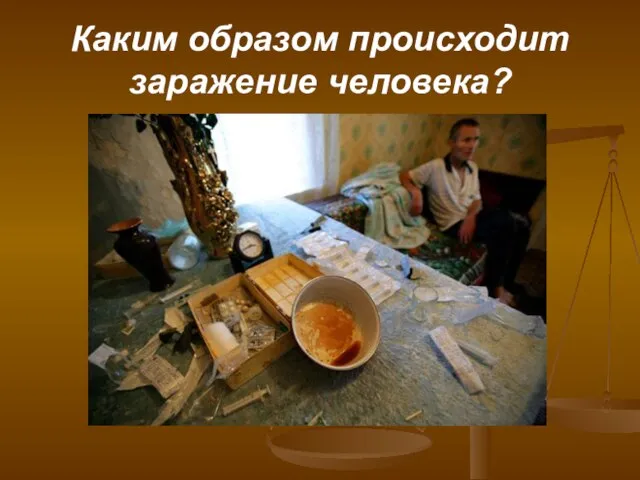 Каким образом происходит заражение человека?