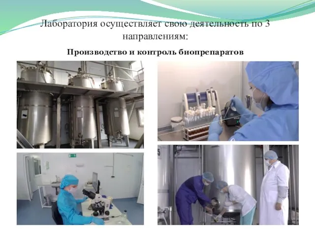 Лаборатория осуществляет свою деятельность по 3 направлениям: Производство и контроль биопрепаратов