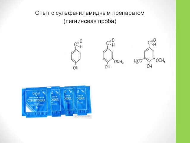 Опыт с сульфаниламидным препаратом (лигниновая проба)