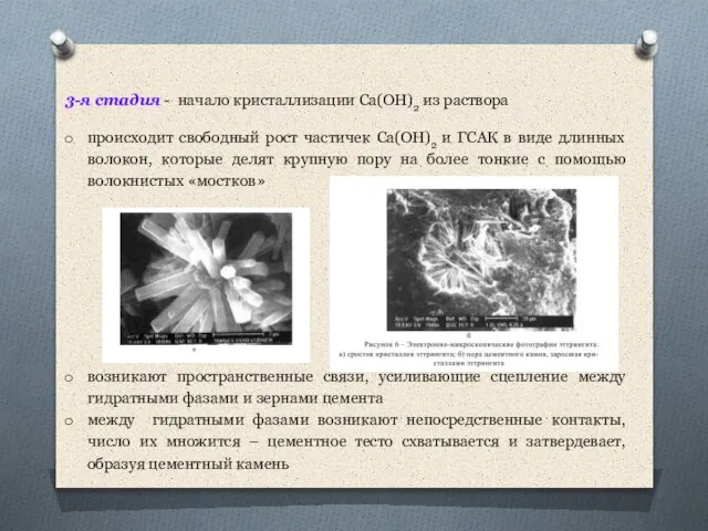 3-я стадия - начало кристаллизации Ca(OH)2 из раствора происходит свободный рост