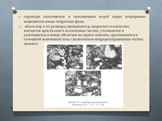 структура уплотняется: в заполненных водой порах непрерывно появляются новые гидратные фазы