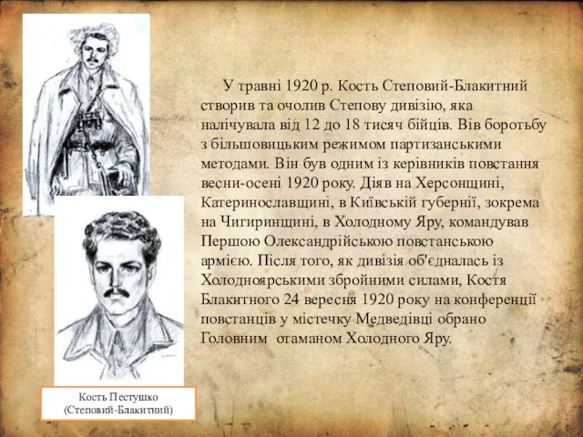 У травні 1920 р. Кость Степовий-Блакитний створив та очолив Степову дивізію,