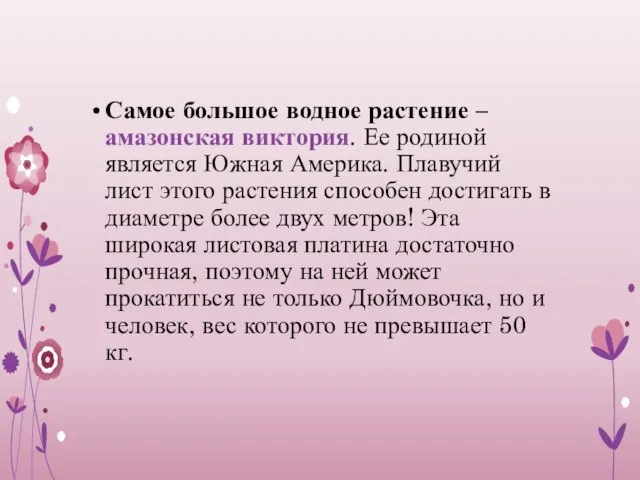 Самое большое водное растение – амазонская виктория. Ее родиной является Южная