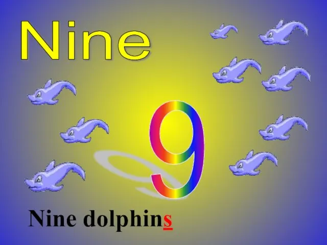 Nine 9 Nine dolphins