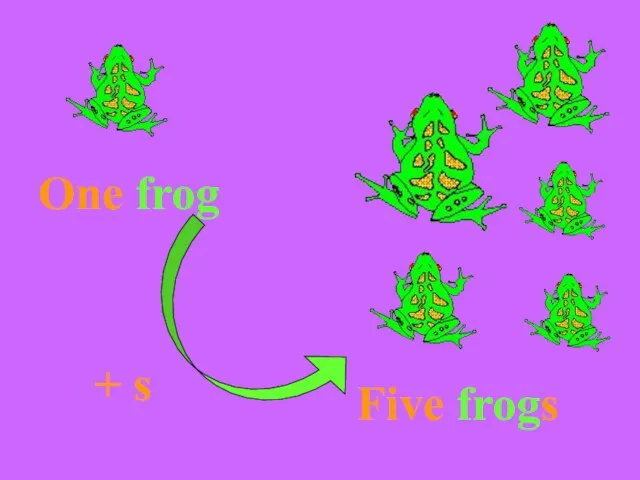 One frog Five frogs + s