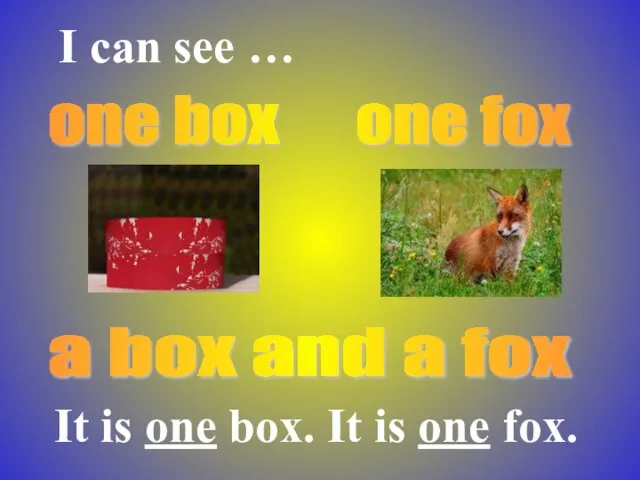 one box one fox a box and a fox It is