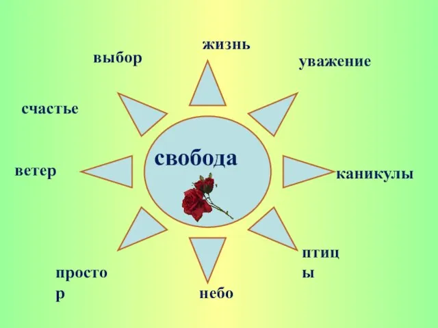 выбор уважение каникулы птицы небо простор ветер свобода жизнь счастье