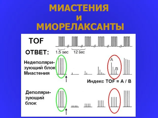 МИАСТЕНИЯ и МИОРЕЛАКСАНТЫ