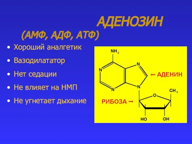 АДЕНОЗИН (АМФ, АДФ, АТФ) Хороший аналгетик Вазодилататор Нет седации Не влияет на НМП Не угнетает дыхание