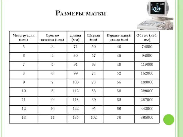 Размеры матки