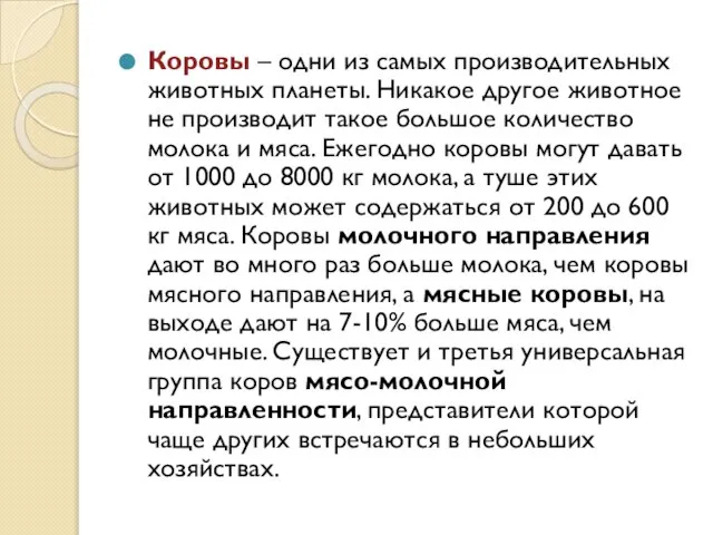 Коровы – одни из самых производительных животных планеты. Никакое другое животное