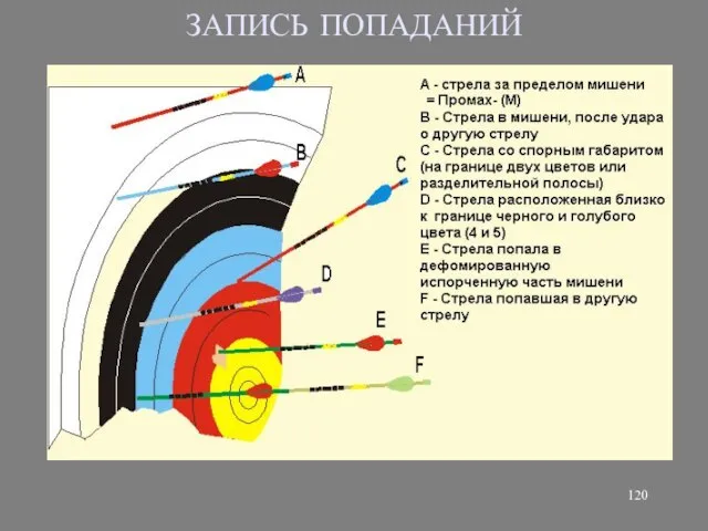 ЗАПИСЬ ПОПАДАНИЙ