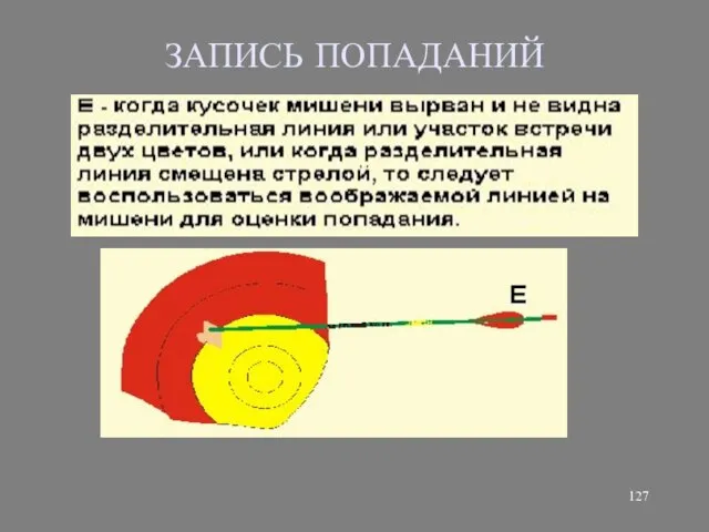 ЗАПИСЬ ПОПАДАНИЙ