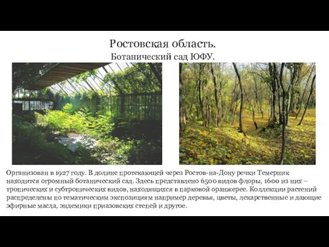 Ростовская область. Ботанический сад ЮФУ. Организован в 1927 году. В долине